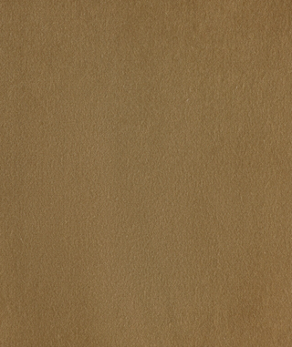 Lustrous Cotton Velvet - Bronze