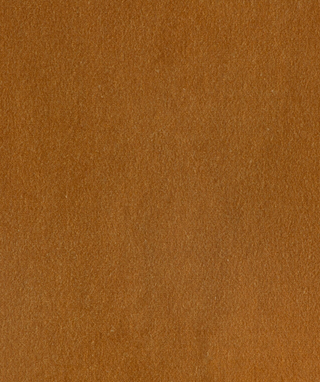 Lustrous Cotton Velvet - Amber