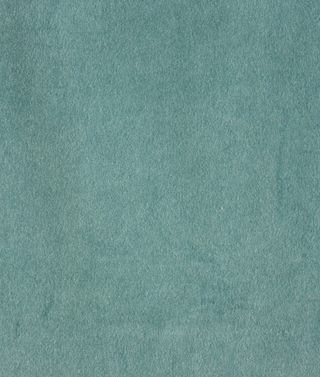 Lustrous Cotton Velvet - Seafoam