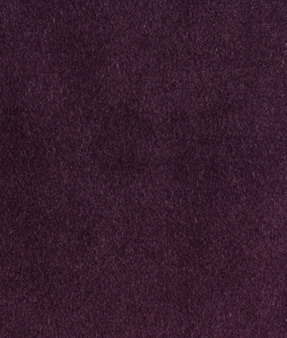 Lustrous Cotton Velvet - Damson