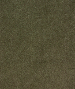 Lustrous Cotton Velvet - Lichen