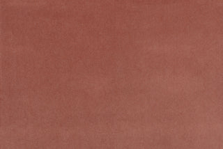 Soft-Touch Velvet - Apricot
