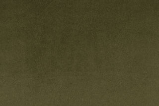 Soft-Touch Velvet - Mosswood
