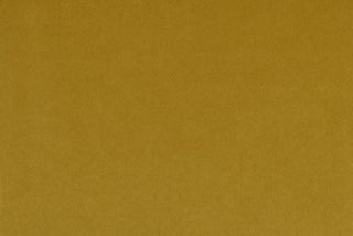 Soft-Touch Velvet - Maize