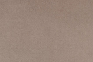 Soft-Touch Velvet - Greige