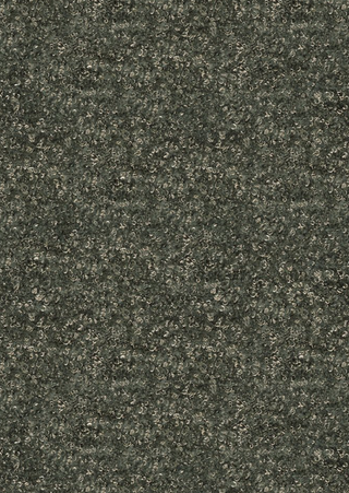 Teddy Textured Weave - Hemlock