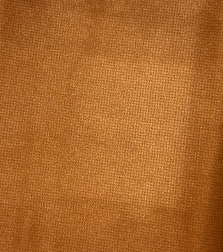Lustrous Recycled Velvet - Honey Ambar